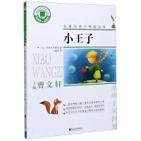 诺森小王子(法)圣埃克苏佩里9787533961077浙江文艺出版社