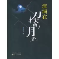 诺森流淌在刀尖的月光王松著9787530662854百花文艺出版社