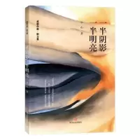 诺森一半阴影一半明亮小乙9787541149689四川文艺出版社