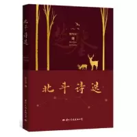 诺森北斗诗选黄伟祥9787512512016国际文化出版公司