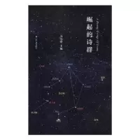 诺森崛起的诗群苏历铭主编9787214219473江苏人民出版社