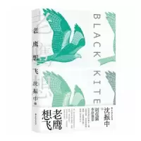 诺森老鹰想飞沈振中著9787500873914中国工人出版社