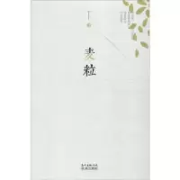 诺森麦粒丁丁著9787536078611花城出版社