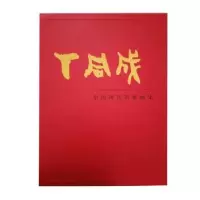 诺森中国现代名家画集—丁同成未知9787539499987湖北美术出版社