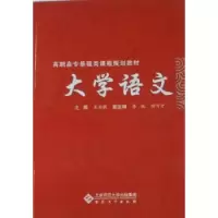 诺森大学语文王启敏主编9787811107777安徽大学出版社