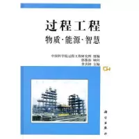 诺森过程工程:物质·能源·智慧李洪钟主编9787030293794科学出版社