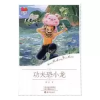 诺森功夫恐小龙超侠著9787535077943海燕出版社