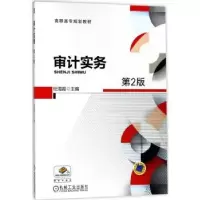 诺森审计实务杜海霞主编9787111591207机械工业出版社