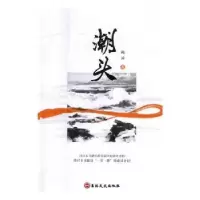 诺森潮头鲍涛著9787547248614吉林文史出版社