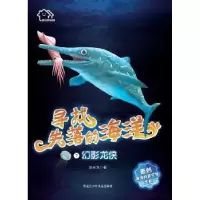 诺森幻影龙侠赵长发9787531957683黑龙江少年儿童出版社