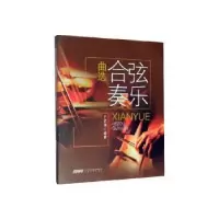 诺森弦乐合奏曲选丁芷诺9787539667911安徽文艺出版社