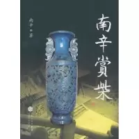 诺森南辛赏柴南辛 著9787530657287百花文艺出版社