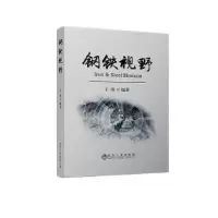 诺森钢铁视野于勇9787502485764冶金工业出版社