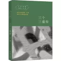 诺森三个三重奏宁肯[著]9787532166725上海文艺出版社