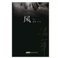 诺森风潘军9787539663869安徽文艺出版社