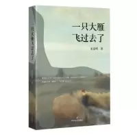 诺森一只大雁飞过去了童道明著9787541145018四川文艺出版社