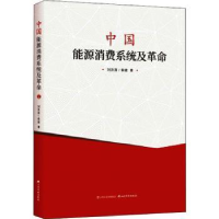 诺森中国能源消费系统及刘洪涛,柴建9787557706616山西经济出版社