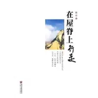 诺森在屋脊上行走魏锦著9787227047971宁夏人民出版社