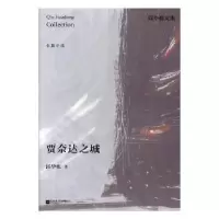 诺森贾奈达之城邱华栋著9787559405166江苏凤凰文艺出版社