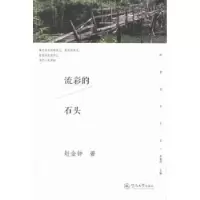 诺森流彩的石头赵金钟著9787566814456暨南大学出版社