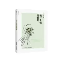 诺森我什么也没看见霍君9787537851688北岳文艺出版社