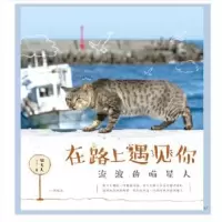 诺森在路上遇见你:流浪的喵星人猫夫人著9787503037481测绘出版社