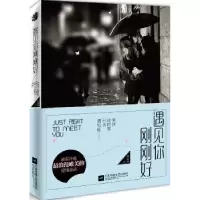 诺森遇见你 刚刚好刘丽丽著9787539980744江苏凤凰文艺出版社