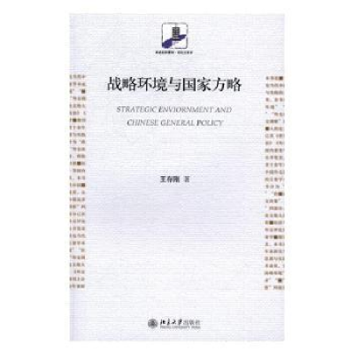 诺森战略环境与方略王存刚著9787301275269北京大学出版社