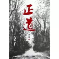 诺森正道沙民著9787516120422中国社会科学出版社