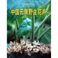 诺森中国云南野生花卉武全安9787503821950中国林业出版社