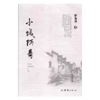 诺森小城阿哥罗安圣著9787512662117团结出版社