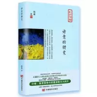 诺森诗意的错觉陈雄著9787517128137中国言实出版社