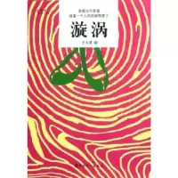 诺森漩涡王大进著9787500852162中国工人出版社