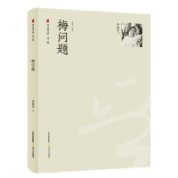 诺森梅问题:中篇小说集李来兵9787537846004北岳文艺出版社