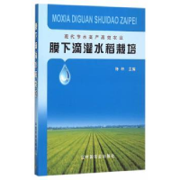 诺森膜下滴灌水稻栽培陈林9787109208889中国农业出版社