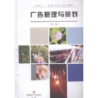 诺森广告原理与策划陈乙主编9787550420335西南财经大学出版社