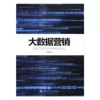 诺森大数据营销阳翼著9787300240169中国人民大学出版社