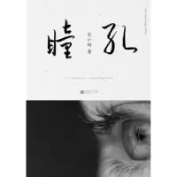诺森瞳孔宋小词9787539995113江苏凤凰文艺出版社
