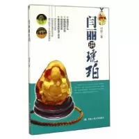 诺森闫丽讲琥珀闫丽 著9787300201191中国人民大学出版社