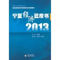 诺森2013宁夏经济蓝皮书张进海主编9787227053743宁夏人民出版社
