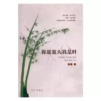 诺森你是夏天我是叶丹华著9787555507598远方出版社