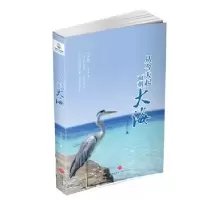 诺森从今天起面朝大海杨传向9787545526516天地出版社