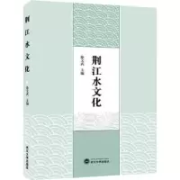 诺森荆江水文化徐文武9787307216020武汉大学出版社