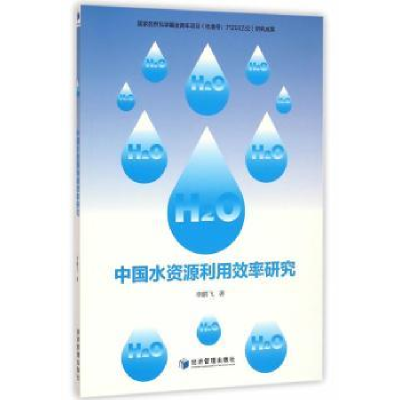 诺森中国水资源利用效率研究飞著9787509642474经济管理出版社