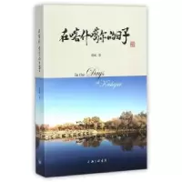诺森在喀什噶尔的日子陆屹著9787542659460上海三联书店