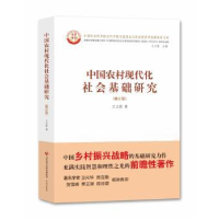 诺森中国农村现代化社会基础研究王立胜9787548832645济南出版社