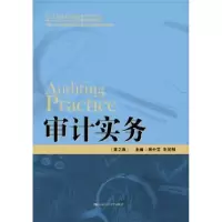 诺森审计实务胡中艾,朱光明主编9787300350中国人民大学出版社