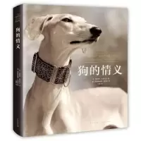 诺森狗的情义(英)塔姆欣·皮克拉尔著9787513332620新星出版社