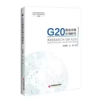 诺森G20能效计划研究张建国,白泉著9787513652681中国经济出版社