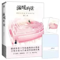 诺森温暖的弦安宁著9787559405807江苏凤凰文艺出版社